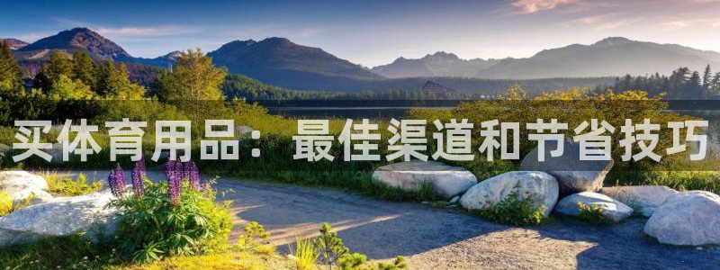 欧陆娱乐测速网站：买体育用品：最佳渠道和节省技巧