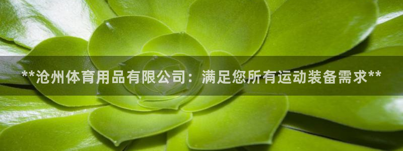 欧陆娱乐怎么注册账号啊：**沧州体育用品有限公司：满