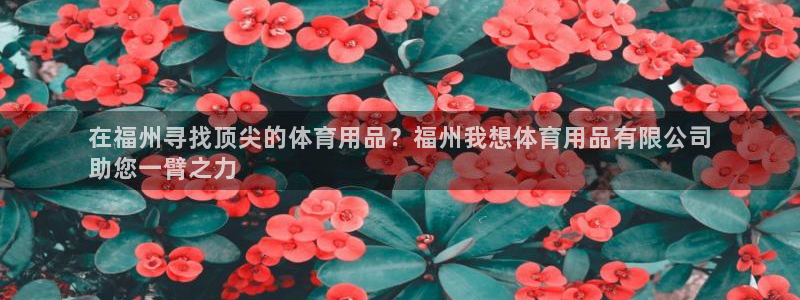欧陆娱乐注册链接怎么弄：在福州寻找顶尖的体育用品？福