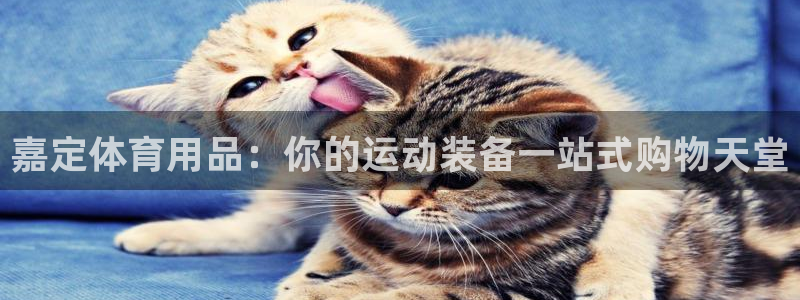 欧陆娱乐脚本怎么下载：嘉定体育用品：你的运动装备一站