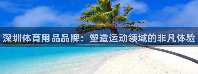 欧陆娱乐平台登录不上去：深圳体育用品品牌：塑造运动领