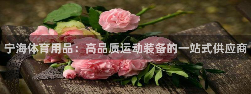 欧陆娱乐百科大全：宁海体育用品：高品质运动装备的一站
