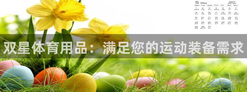 欧陆娱乐的故事有哪些：双星体育用品：满足您的运动装备