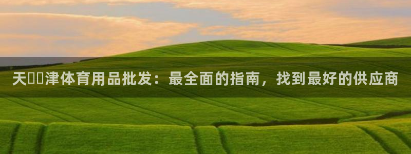 欧陆娱乐脚本：天​​津体育用品批发：最全面的指南，找
