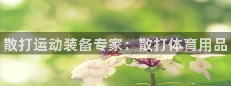 欧陆娱乐累计盈利多少就会被劝退呢：散打运动装备专家：
