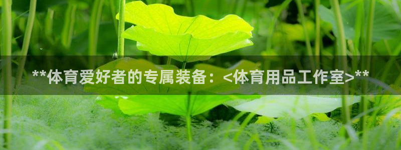 欧陆娱乐共创美好时刻：**体育爱好者的专属装备：<体