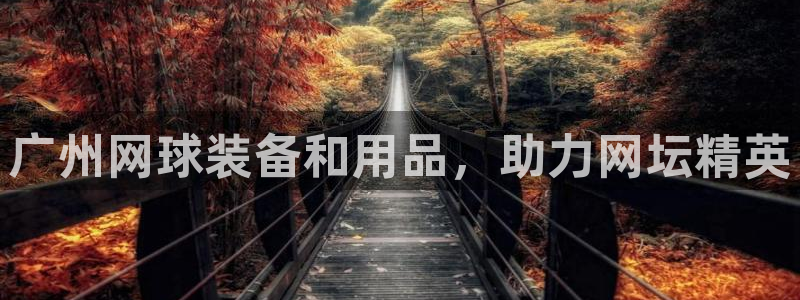 欧陆娱乐平台官网：广州网球装备和用品，助力网坛精英