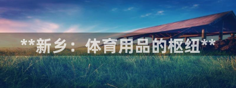 欧陆娱乐总代理电话：**新乡：体育用品的枢纽**
