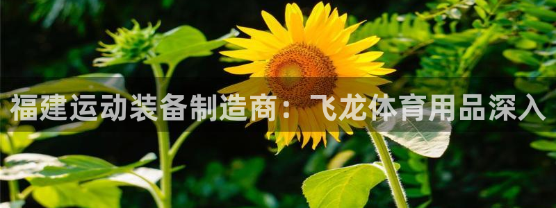 欧陆娱乐平台咋样啊赚钱：福建运动装备制造商：飞龙体育