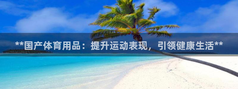 欧陆注册登录入口：**国产体育用品：提升运动表现，引