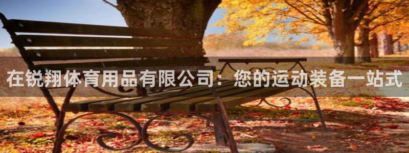 重庆欧陆娱乐有限公司：在锐翔体育用品有限公司：您的运