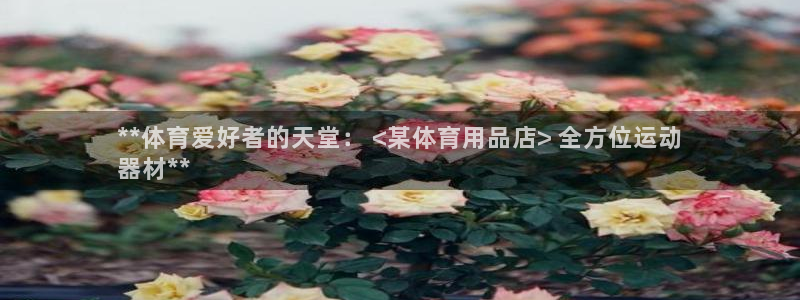 欧陆娱乐代理多少个点位可以赚钱：**体育爱好者的天堂