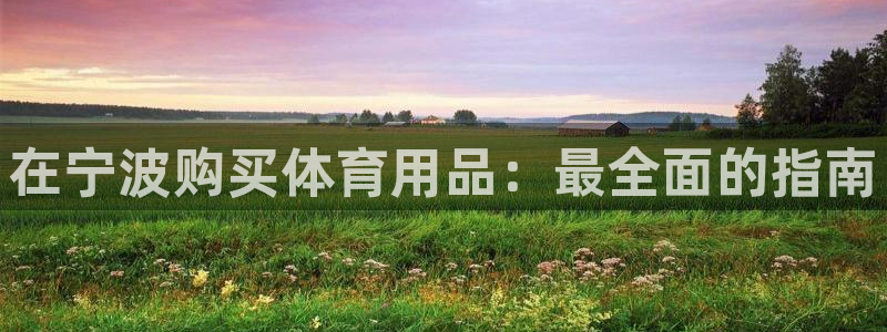欧陆娱乐里面怎么看打排五：在宁波购买体育用品：最全面