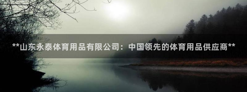 欧陆娱乐app攻略下载：**山东永泰体育用品有限公司