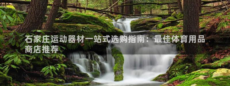欧陆娱乐有限公司：石家庄运动器材一站式选购指南：最佳