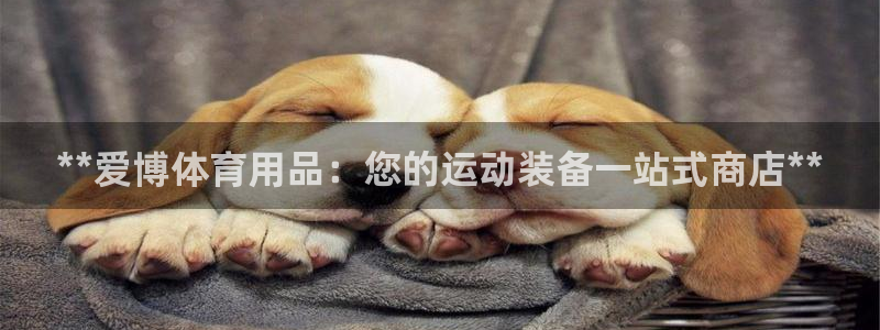 欧陆娱乐登陆官网：**爱博体育用品：您的运动装备一站