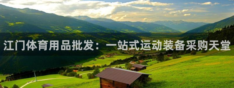 欧陆娱乐里面怎么看打排五：江门体育用品批发：一站式运