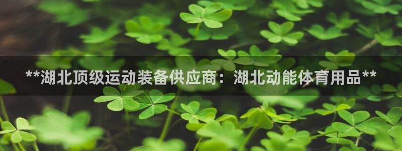 欧陆娱乐系统教程：**湖北顶级运动装备供应商：湖北动