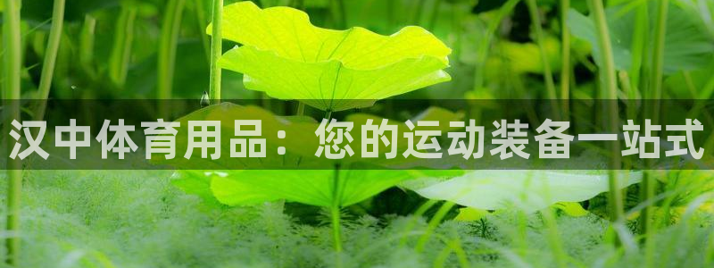 欧陆娱乐app下载：汉中体育用品：您的运动装备一站式