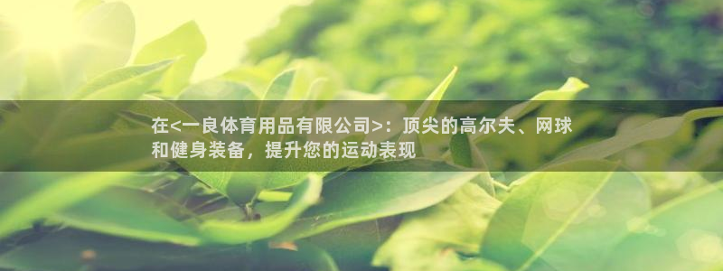 欧陆娱乐登陆官网：在<一良体育用品有限公司>：顶尖的