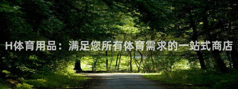 欧陆娱乐登录官网：H体育用品：满足您所有体育需求的一