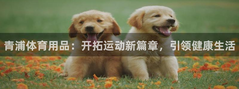 欧陆娱乐登录测速怎么关闭：青浦体育用品：开拓运动新篇