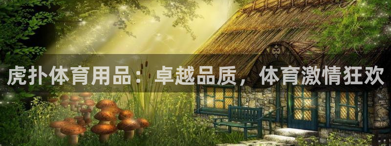 欧陆娱乐平台咋样赚钱的：虎扑体育用品：卓越品质，体育
