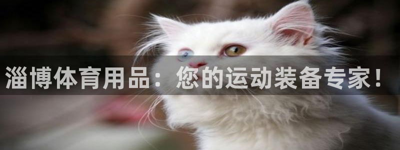 欧陆娱乐登录平台：淄博体育用品：您的运动装备专家！