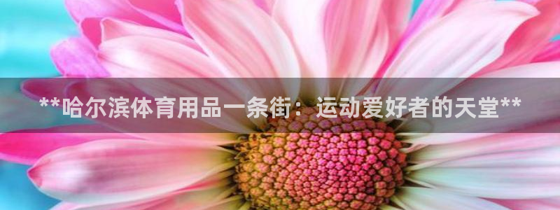 欧陆娱乐计划预测软件哪个好：**哈尔滨体育用品一条街