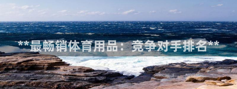 欧陆娱乐登录官网下载：**最畅销体育用品：竞争对手排