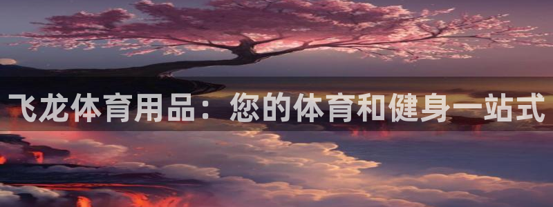 欧陆娱乐测速软件下载：飞龙体育用品：您的体育和健身一