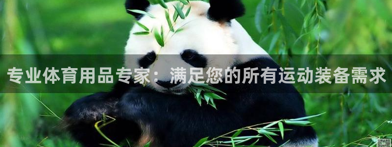欧陆娱乐合法吗：专业体育用品专家：满足您的所有运动装