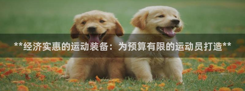 欧陆娱乐官网注册中心：**经济实惠的运动装备：为预算