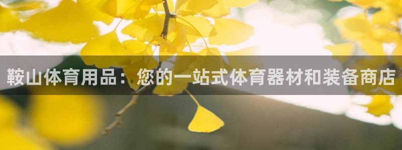 欧陆娱乐能提现嘛?：鞍山体育用品：您的一站式体育器材