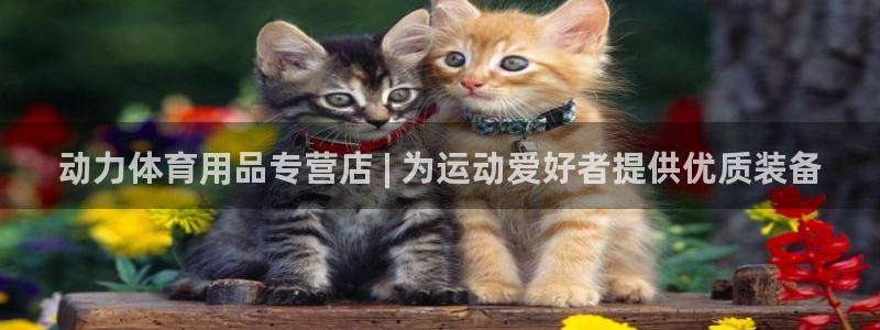 欧陆娱乐登陆平台有哪些：动力体育用品专营店 | 为运