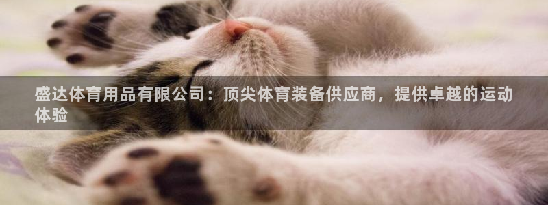 欧陆软件官网：盛达体育用品有限公司：顶尖体育装备供应