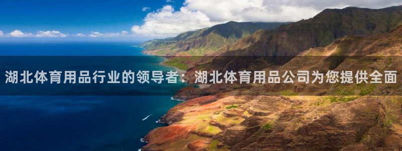 欧陆娱乐脚本怎么用：湖北体育用品行业的领导者：湖北体