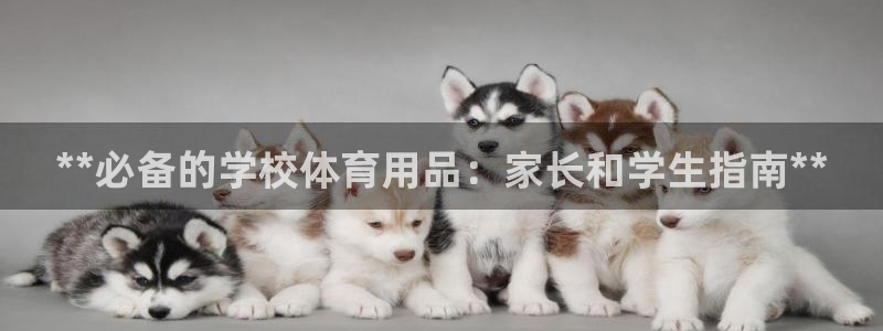 欧陆娱乐平台咋样啊安全吗：**必备的学校体育用品：家