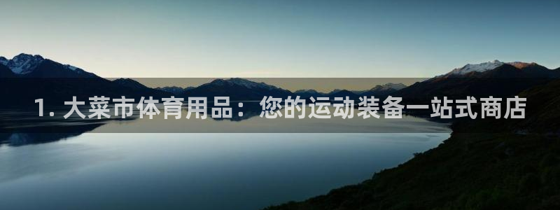欧陆娱乐游戏：1. 大菜市体育用品：您的运动装备一站
