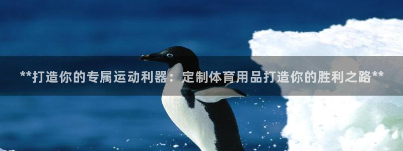 欧陆娱乐官网网址是什么：**打造你的专属运动利器：定