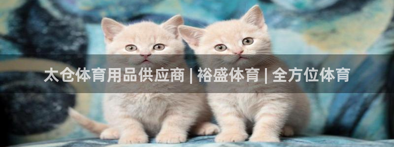 欧陆娱乐app下载：太仓体育用品供应商 | 裕盛体育