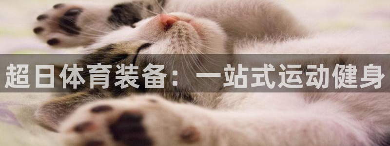 欧陆娱乐平台登录不上去怎么办：超日体育装备：一站式运