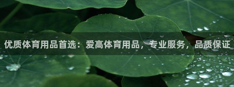 欧陆论坛：优质体育用品首选：爱高体育用品，专业服务，