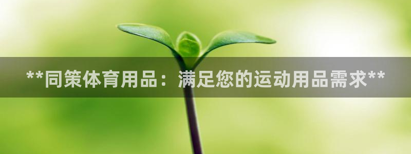 欧陆娱乐是干什么的：**同策体育用品：满足您的运动用