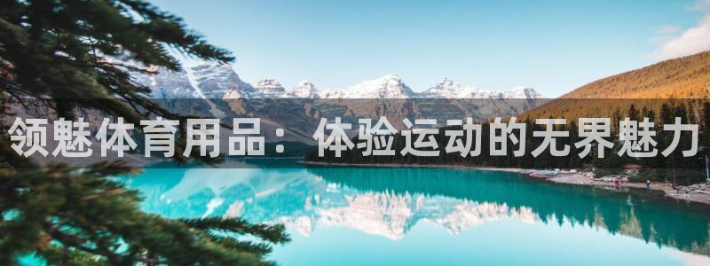 欧陆娱乐打什么方案赚钱：领魅体育用品：体验运动的无界
