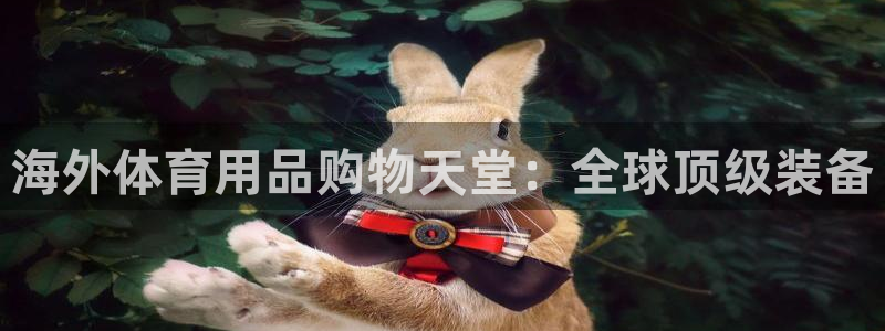 欧陆娱乐挂机项目怎么弄：海外体育用品购物天堂：全球顶