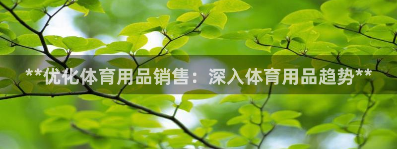 欧陆娱乐登陆官网网址：**优化体育用品销售：深入体育