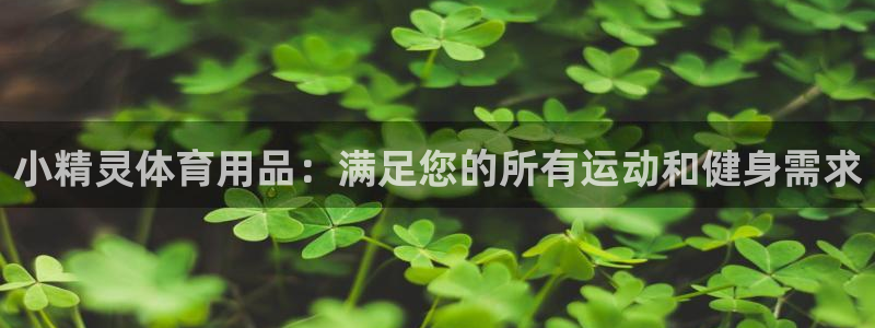 欧陆娱乐注册链接安全吗是真的吗：小精灵体育用品：满足