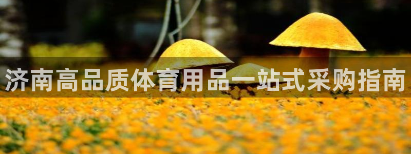 欧陆娱乐怎么注册帐号啊：济南高品质体育用品一站式采购