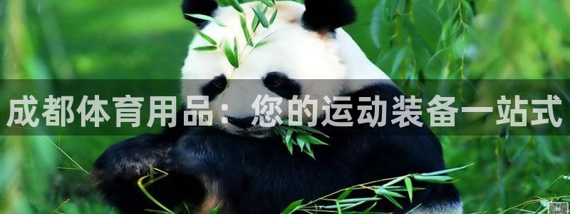 欧陆娱乐是正规平台吗安全吗知乎文章：成都体育用品：您